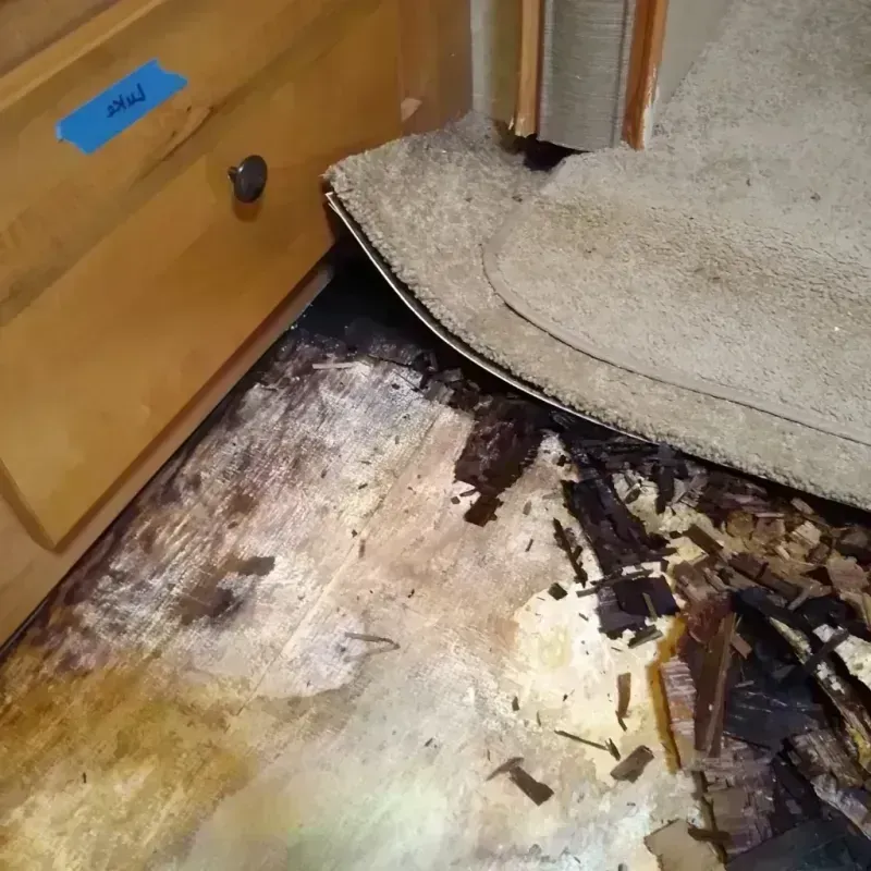 Wood Floor Water Damage in Seminole, FL